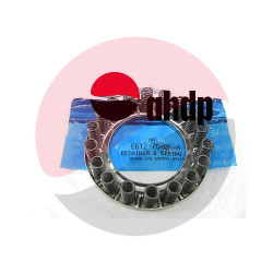 SPRINGS W/RETAINER C6/E4OD...