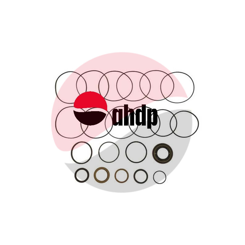 SEAL KIT REPAIR HYDRAULIC MOTOR TUG