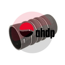 CHARGER AIR HOSE COBUS