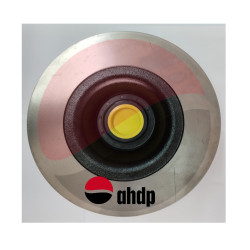 BRAKE HUB & ROTOR ASSY CHARLATTE