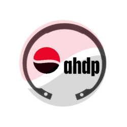 OUTPUT SHAFT SNAP RING TLD