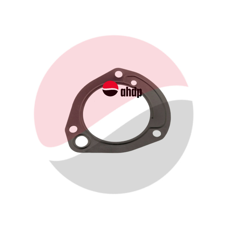 GASKET FUEL PUMP COBUS