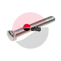 SCREW TLD