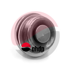 PLUG MAGNET TLD