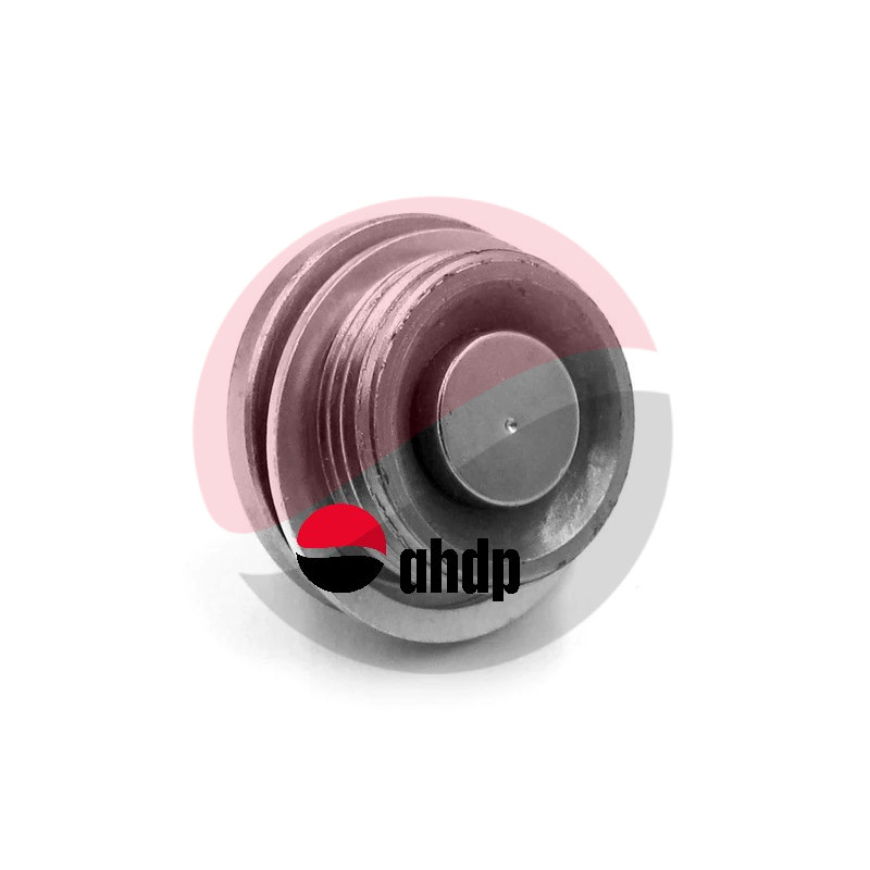 PLUG MAGNET TLD